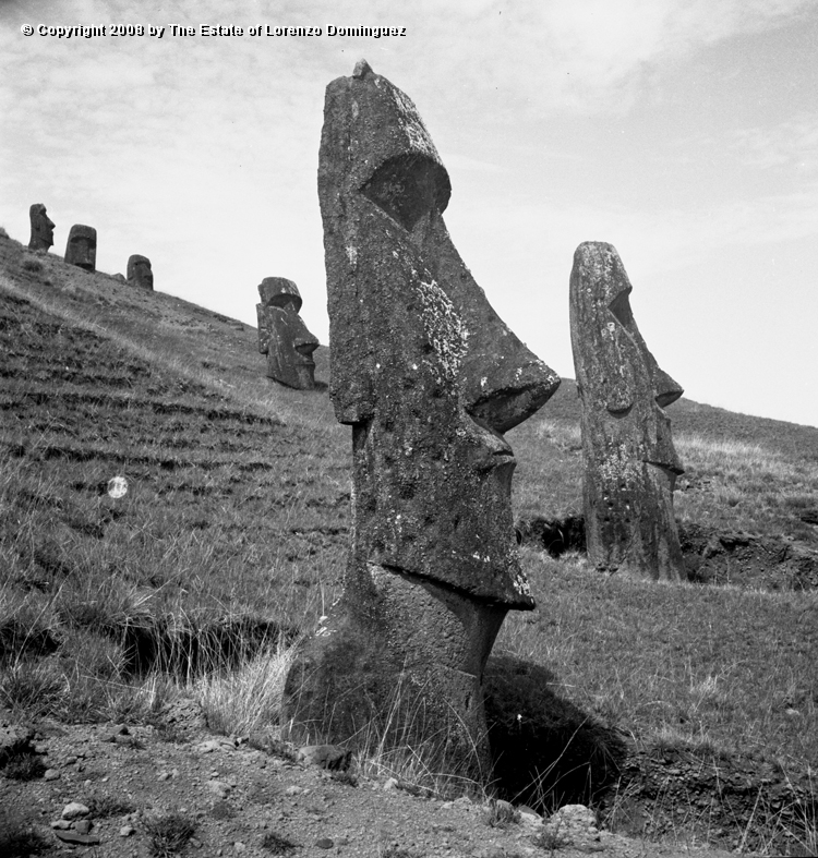 RRE_Angel_10.jpg - Easter Island. 1960. Moai on the exterior slope of Rano Raraku. Identified by Lorenzo Dominguez as "The Angel."